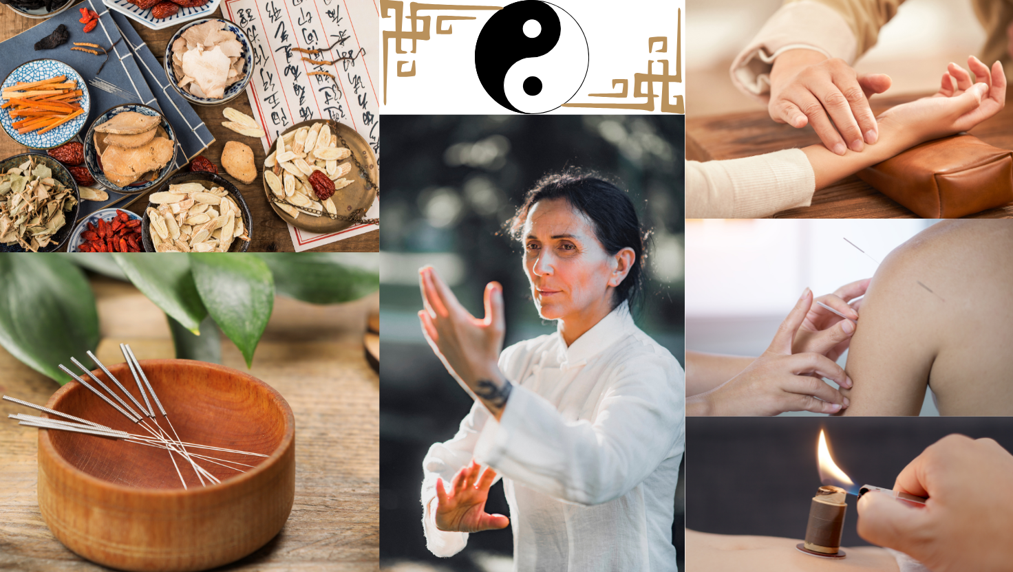 Traditionelle Chinesische Medizin - Heilkunst im Einklang mit dem Leben - Heilpraktiker-finden.info