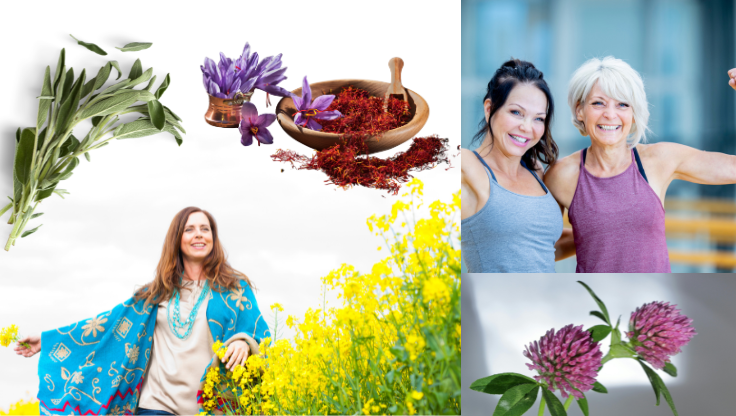 Oh Menno: die Menopause!-Heilpflanzen für die Wechseljahre - Heilpraktiker-finden.info