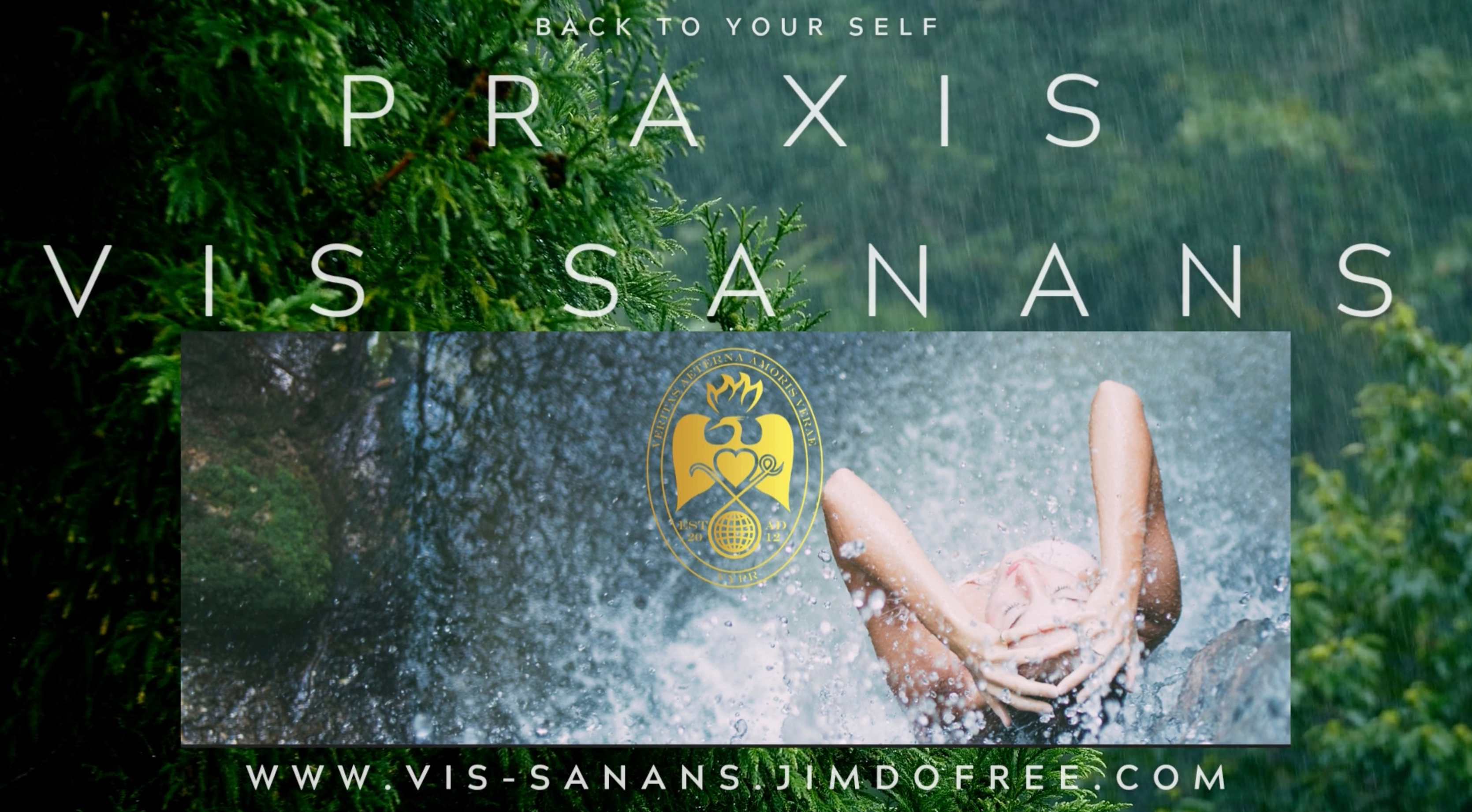 Heilpraktiker - VIS SANANS Coaching & Psychotherapie - Vera Y. Pradetto Roman