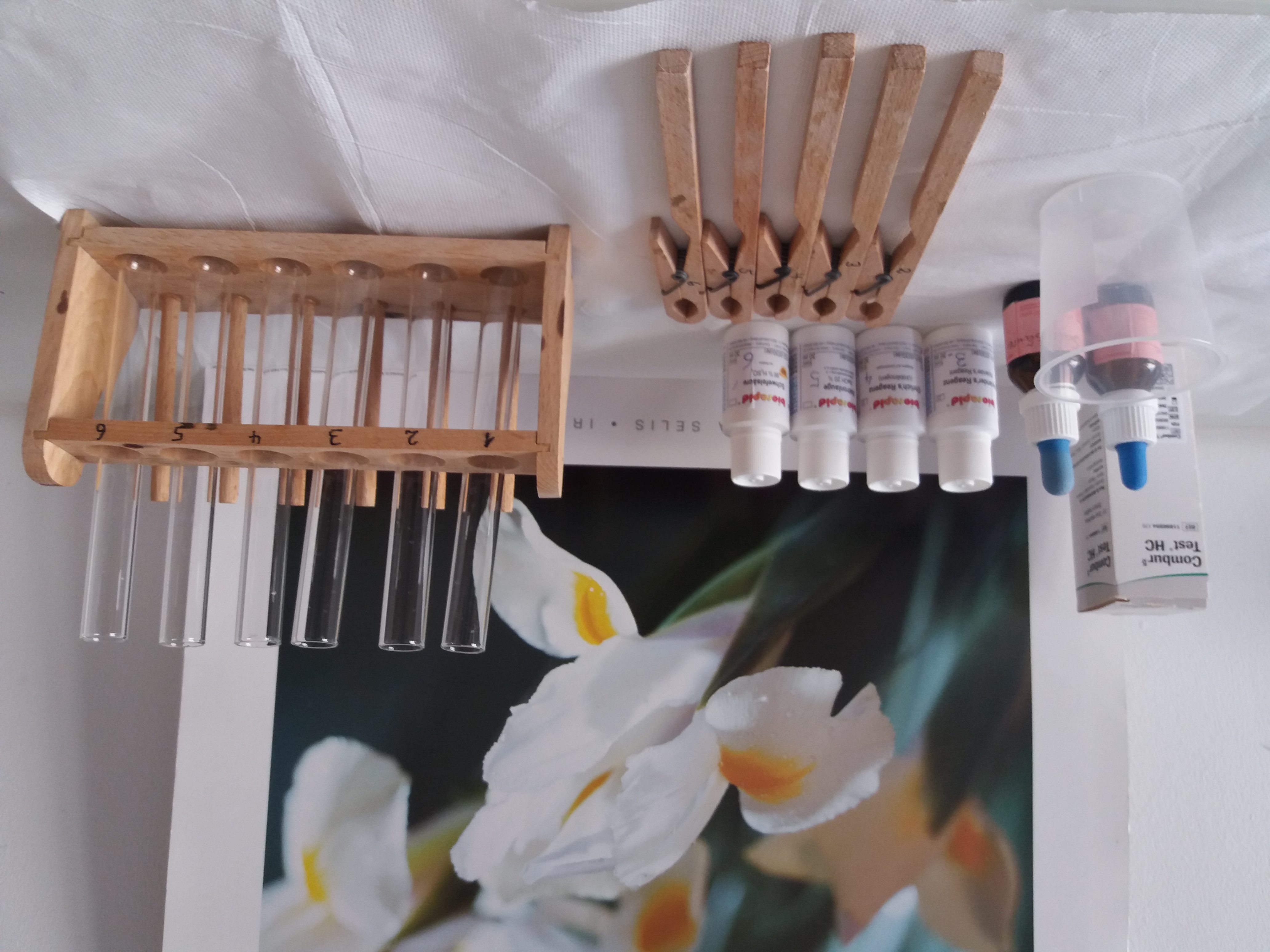 Heilpraktiker finden - Therapieschwerpunkte: Kinder und Jugendliche - Urinfunktionsanalyse - Naturheilpraxis Heinzen München, Bettina Benend-Heinzen Heilpraktikerin