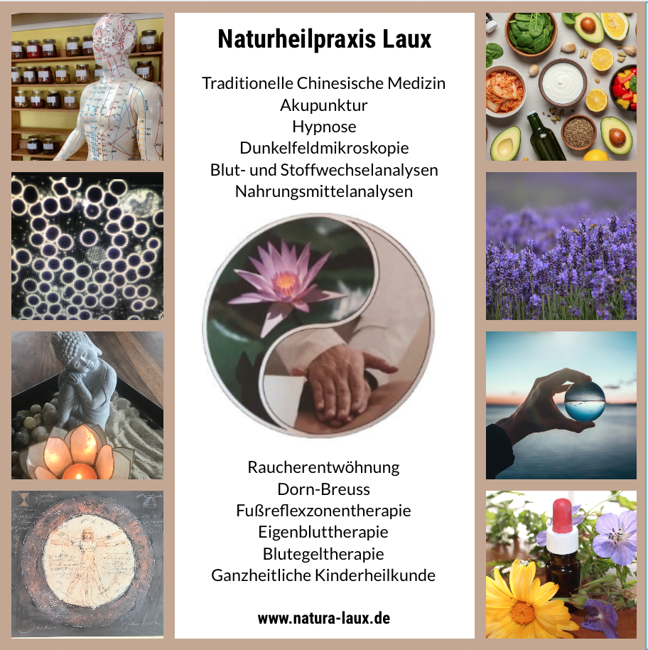 Heilpraktiker: Naturheilpraxis Laux - Naturheilpraxis Laux & Heilpraktikerschule Eifel-Ahr