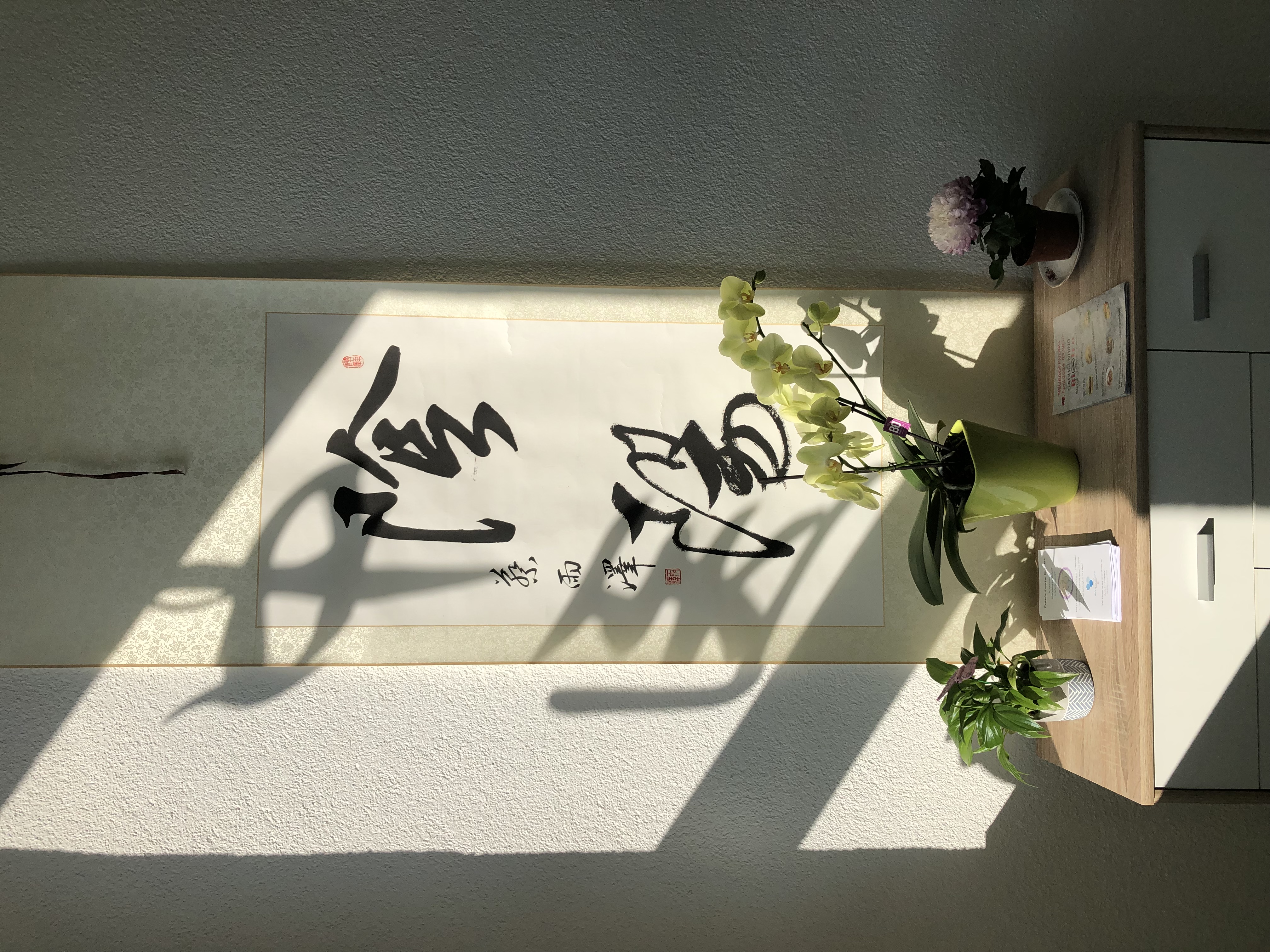 Heilpraktiker: Zentrum für Traditionelle Chinesische Medizin. Praxis und TCM Akupunktur Kurs