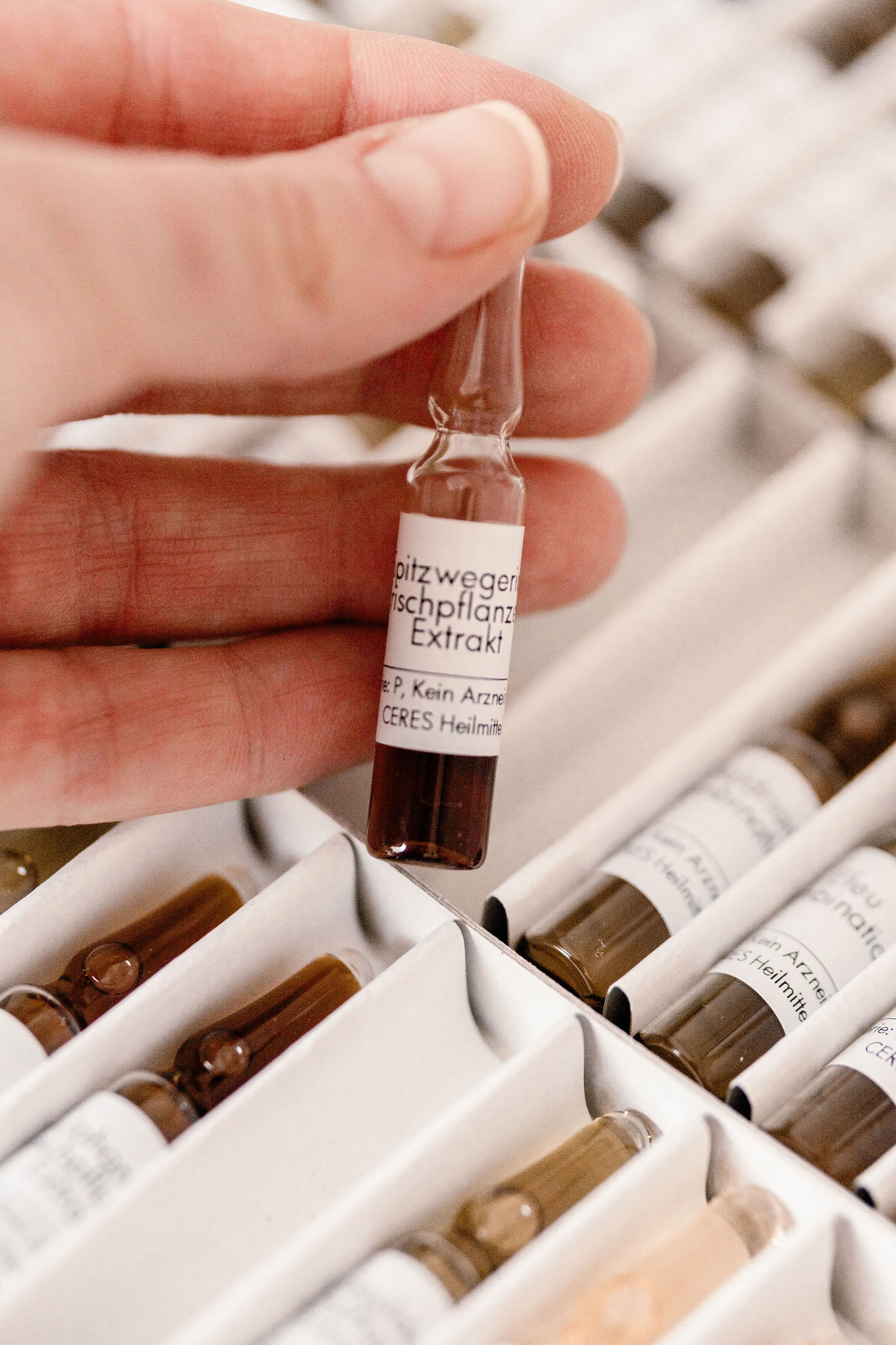 Heilpraktiker: Phytotherapie - Ganzzeitraum - Miriam Müller - Heilpraktikerin 